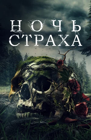 Ночь страха Постер